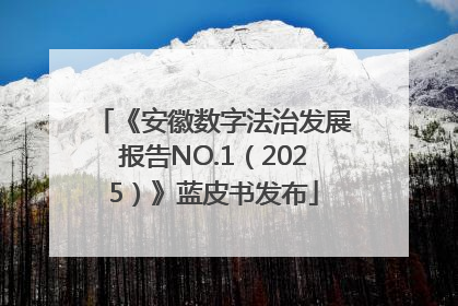 《安徽数字法治发展报告NO.1（2025）》蓝皮书发布