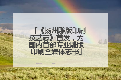 《扬州雕版印刷技艺志》首发，为国内首部专业雕版印刷全媒体志书