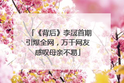 《背后》李晟首期引爆全网，万千网友感叹母亲不易