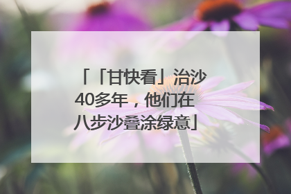 「甘快看」治沙40多年，他们在八步沙叠涂绿意
