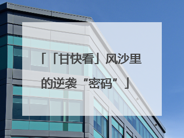 「甘快看」风沙里的逆袭“密码”
