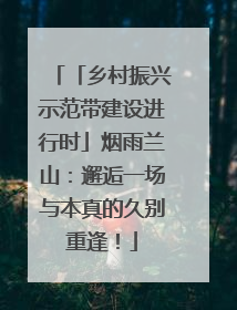 「乡村振兴示范带建设进行时」烟雨兰山：邂逅一场与本真的久别重逢！