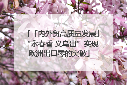 「内外贸高质量发展」“永春香 义乌出”实现欧洲出口零的突破