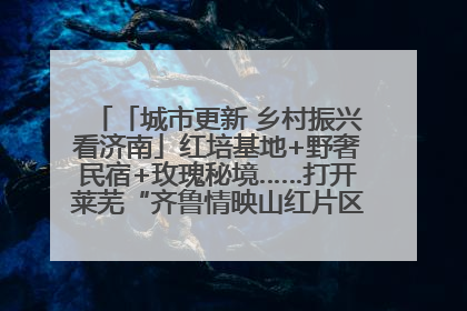 「城市更新 乡村振兴看济南」红培基地+野奢民宿+玫瑰秘境……打开莱芜“齐鲁情映山红片区”的破圈秘籍