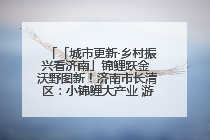 「城市更新·乡村振兴看济南」锦鲤跃金 沃野图新！济南市长清区：小锦鲤大产业 游出农旅新风景