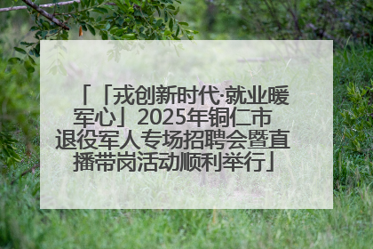 「戎创新时代·就业暖军心」2025年铜仁市退役军人专场招聘会暨直播带岗活动顺利举行