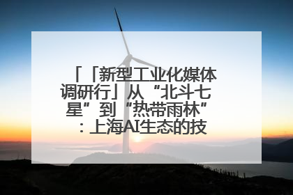 「新型工业化媒体调研行」从“北斗七星”到“热带雨林”：上海AI生态的技术商业共生密码