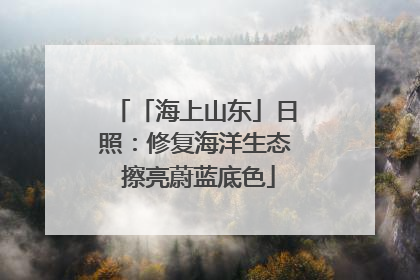 「海上山东」日照：修复海洋生态 擦亮蔚蓝底色