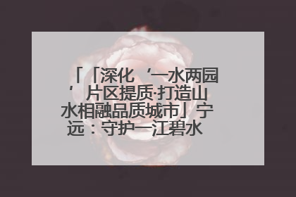 「深化‘一水两园’片区提质·打造山水相融品质城市」宁远：守护一江碧水 共享幸福河湖