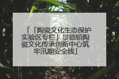 「陶瓷文化生态保护实验区专栏」景德镇陶瓷文化传承创新中心筑牢汛期安全线