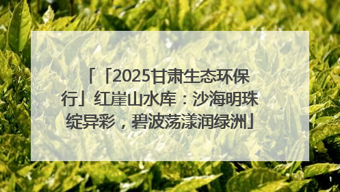 「2025甘肃生态环保行」红崖山水库：沙海明珠绽异彩，碧波荡漾润绿洲