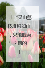 “灵山荔枝堆积如山，只能贱卖”？假的！