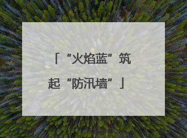 “火焰蓝”筑起“防汛墙”
