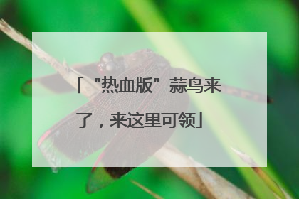 “热血版”蒜鸟来了，来这里可领