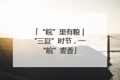 “皖”里有粮｜“三夏”时节，一“皖”麦香