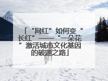 “网红”如何变“长红”——“一朵花”激活城市文化基因的破题之路