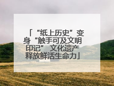 “纸上历史”变身“触手可及文明印记” 文化遗产释放鲜活生命力