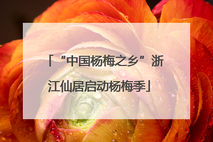 “中国杨梅之乡”浙江仙居启动杨梅季