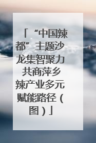 “中国辣都”主题沙龙集智聚力 共商萍乡辣产业多元赋能路径（图）