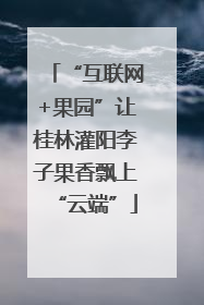 “互联网+果园”让桂林灌阳李子果香飘上“云端”