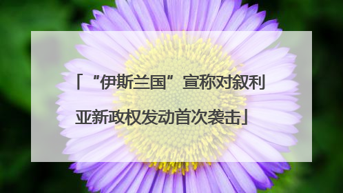 “伊斯兰国”宣称对叙利亚新政权发动首次袭击
