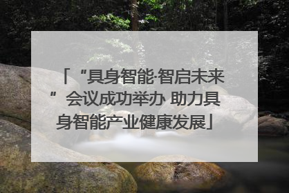 “具身智能·智启未来”会议成功举办 助力具身智能产业健康发展