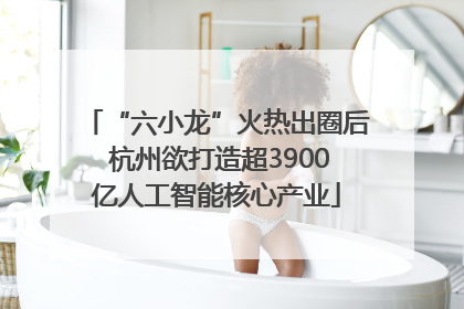 “六小龙”火热出圈后 杭州欲打造超3900亿人工智能核心产业