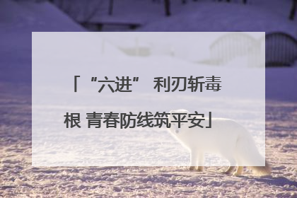 “六进” 利刃斩毒根 青春防线筑平安