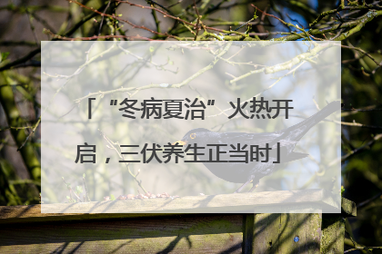 “冬病夏治”火热开启，三伏养生正当时
