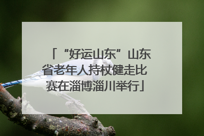 “好运山东”山东省老年人持杖健走比赛在淄博淄川举行