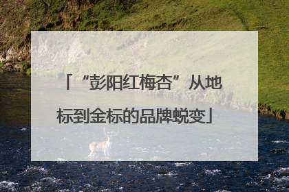 “彭阳红梅杏”从地标到金标的品牌蜕变