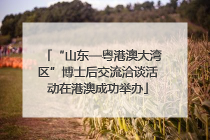 “山东—粤港澳大湾区”博士后交流洽谈活动在港澳成功举办