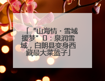“山海情・雪域援梦”⑪：泉润雪域，白朗县变身西藏最大菜篮子