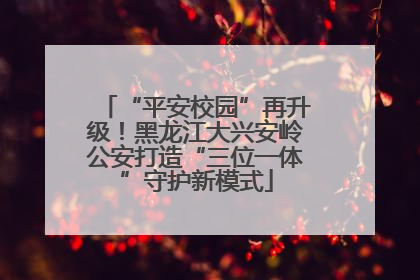 “平安校园”再升级！黑龙江大兴安岭公安打造“三位一体”守护新模式