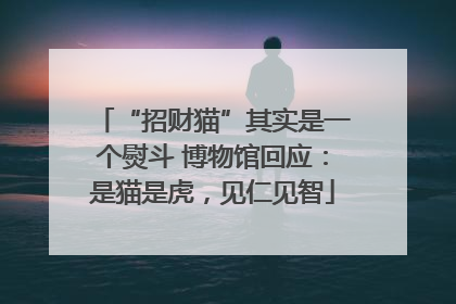 “招财猫”其实是一个熨斗 博物馆回应：是猫是虎，见仁见智