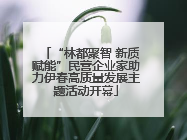 “林都聚智 新质赋能”民营企业家助力伊春高质量发展主题活动开幕
