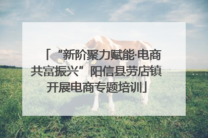 “新阶聚力赋能·电商共富振兴”阳信县劳店镇开展电商专题培训