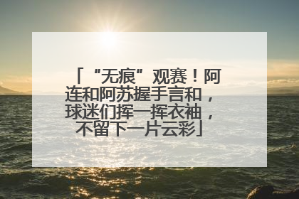 “无痕”观赛！阿连和阿苏握手言和，球迷们挥一挥衣袖，不留下一片云彩