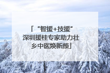 “智援+技援” 深圳援桂专家助力壮乡中医焕新颜
