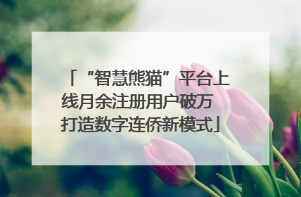 “智慧熊猫”平台上线月余注册用户破万 打造数字连侨新模式