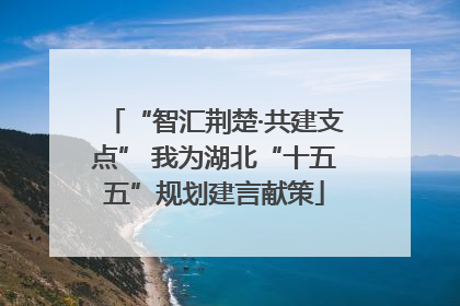 “智汇荆楚·共建支点” 我为湖北“十五五”规划建言献策