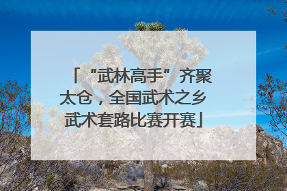 “武林高手”齐聚太仓，全国武术之乡武术套路比赛开赛