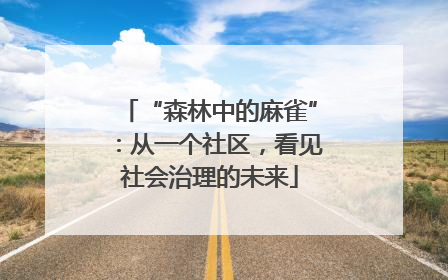 “森林中的麻雀”：从一个社区，看见社会治理的未来