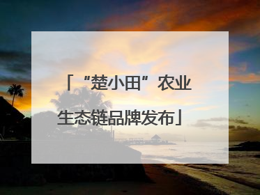 “楚小田”农业生态链品牌发布