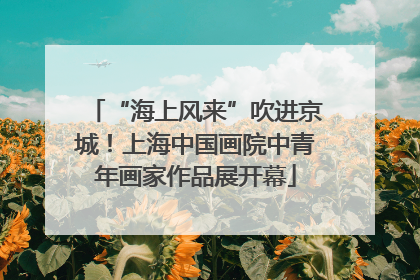 “海上风来”吹进京城！上海中国画院中青年画家作品展开幕