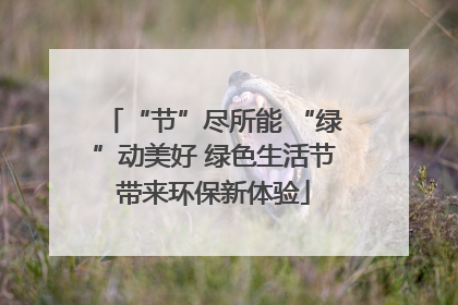 “节”尽所能 “绿”动美好 绿色生活节带来环保新体验
