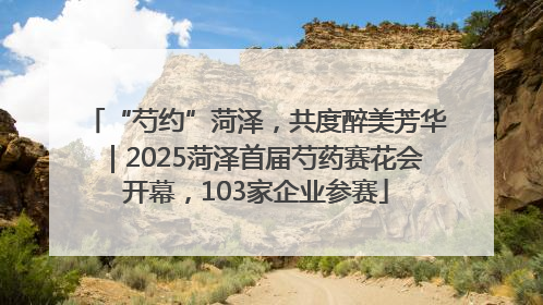 “芍约”菏泽，共度醉美芳华｜2025菏泽首届芍药赛花会开幕，103家企业参赛