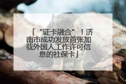 “证卡融合”！济南市成功发放首张加载外国人工作许可信息的社保卡