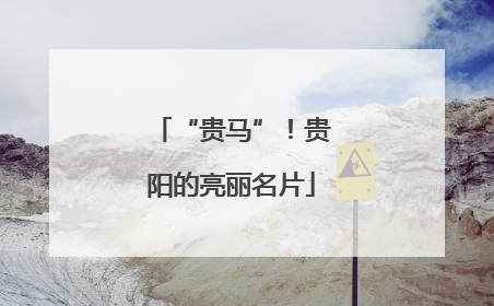 “贵马”！贵阳的亮丽名片
