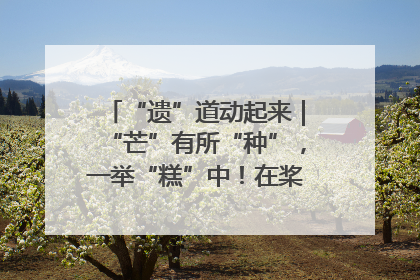 “遗”道动起来｜“芒”有所“种”，一举“糕”中！在桨影拳风里，邂逅最“动”人的风景！（内含报名信息）